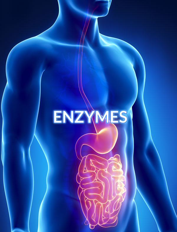 digestionenzymes CROPCHOICE