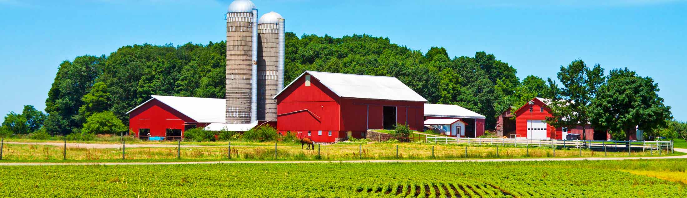 best soy bean and corn fertilizer